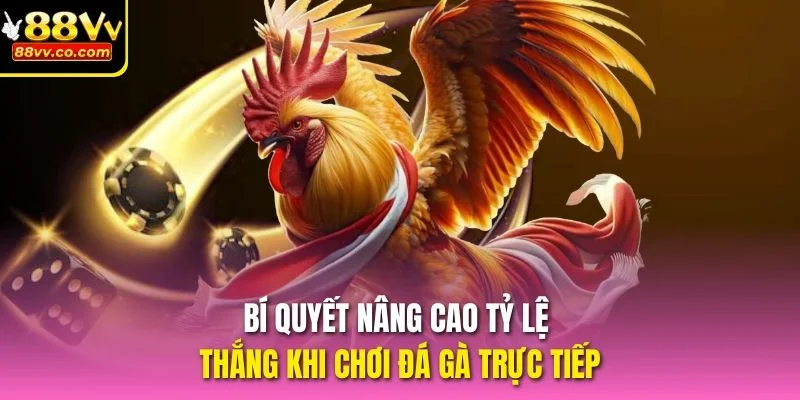 Bí quyết nâng cao tỷ lệ thắng khi chơi đá gà trực tiếp