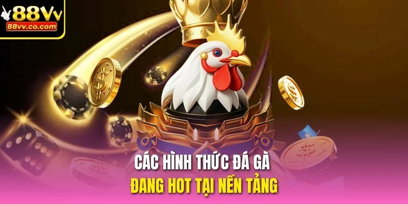 Các hình thức Đá gà đang hot tại nền tảng