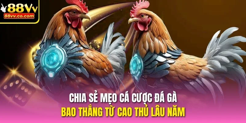 Chia sẻ mẹo cá cược Đá gà bao thắng từ cao thủ lâu năm