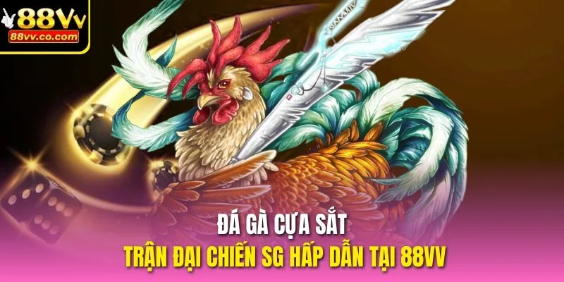 Đá gà cựa sắt
