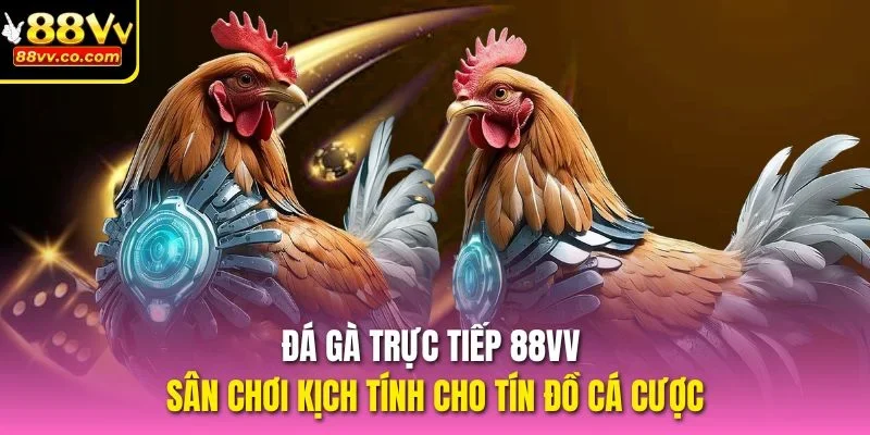 đá gà trực tiếp