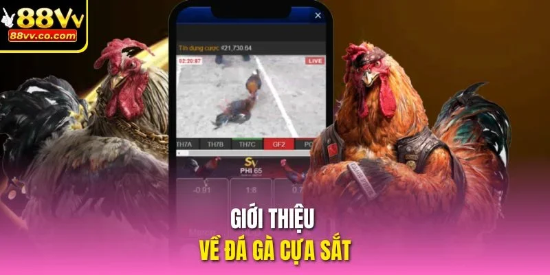 Giới thiệu về đá gà cựa sắt