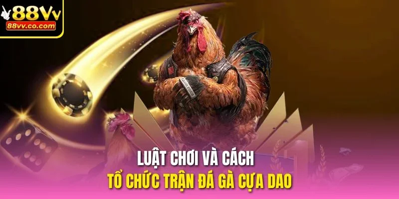 Luật chơi và cách tổ chức trận đá gà cựa dao tại nhà cái 88vv