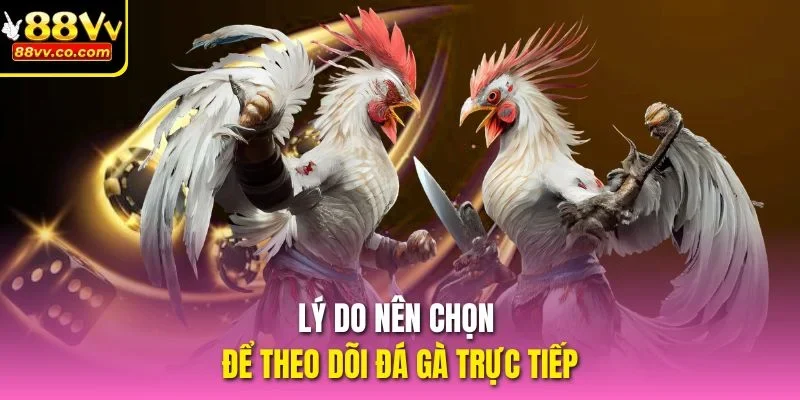 Lý do nên chọn để theo dõi đá gà trực tiếp